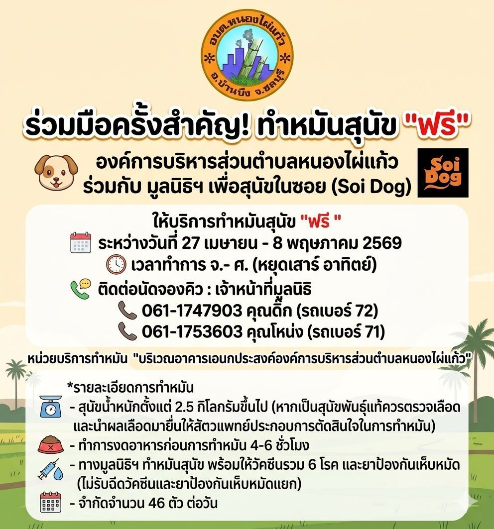 องค์การบริหารส่วนตำบลหนองไผ่แก้ว
